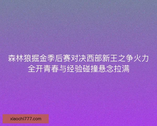 森林狼掘金季后赛对决西部新王之争火力全开青春与经验碰撞悬念拉满