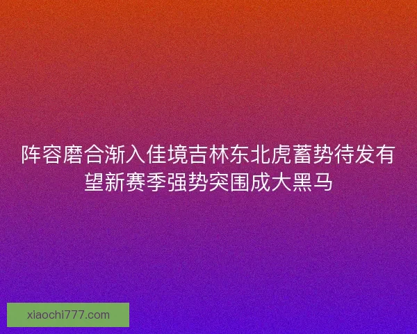 阵容磨合渐入佳境吉林东北虎蓄势待发有望新赛季强势突围成大黑马