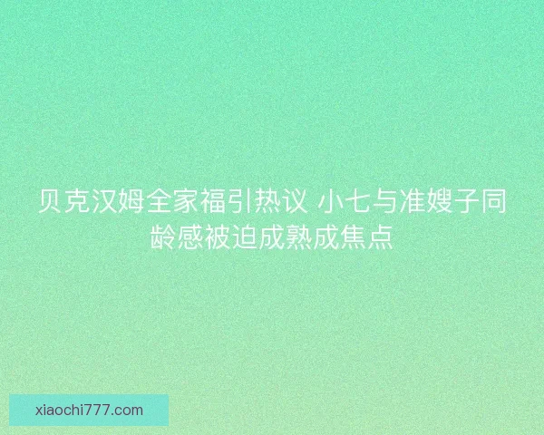 贝克汉姆全家福引热议 小七与准嫂子同龄感被迫成熟成焦点