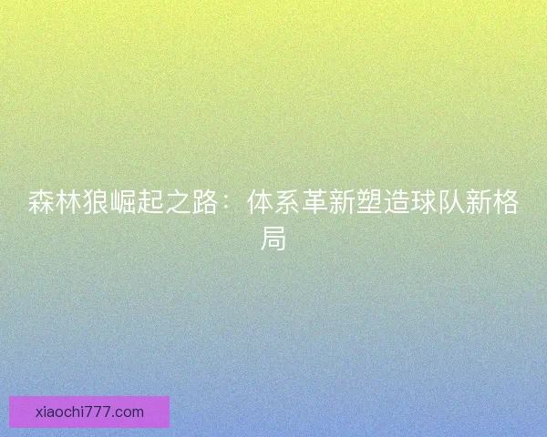森林狼崛起之路：体系革新塑造球队新格局