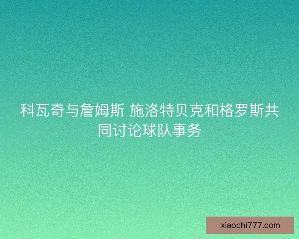 科瓦奇与詹姆斯 施洛特贝克和格罗斯共同讨论球队事务